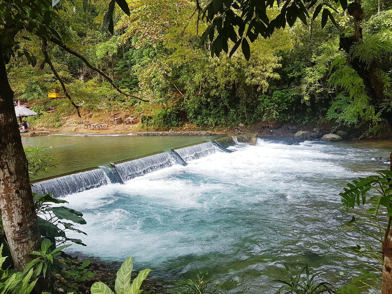 Nature, cold spring,water, river,spring,