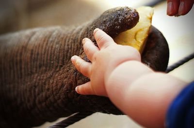 High angle view of hand holding ice cream