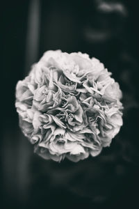 Close-up of rose bouquet