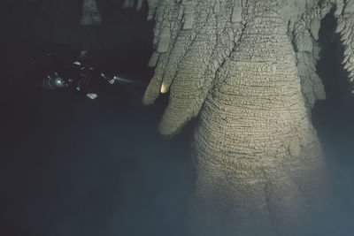 Close-up of smoke on tree trunk