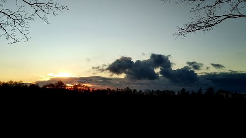 Silhouette trees against sky during sunset