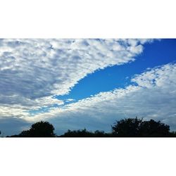 Low angle view of trees against cloudy sky