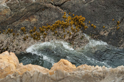 Scenic view of waterfall