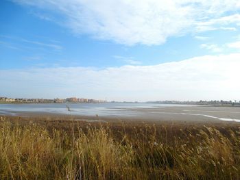 Scenic view of beach against sky