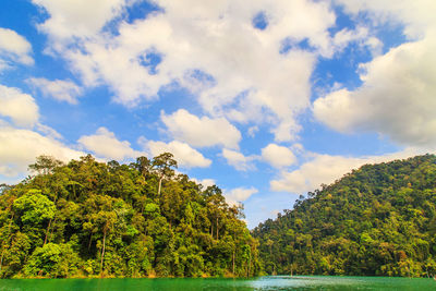 Scenic view of lake by trees against sky