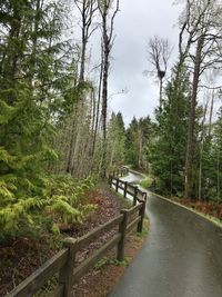 Road amidst trees in forest against sky