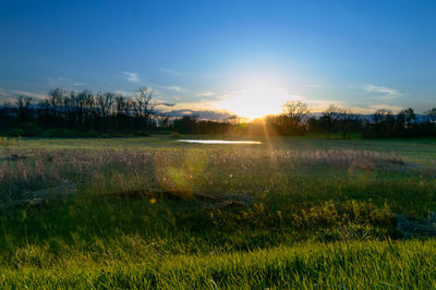 Scenic view of field against sky during sunset