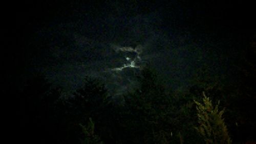 Panoramic view of trees against sky at night