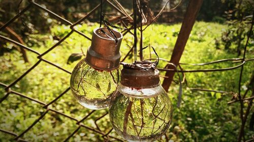 Close-up of rusty light bulbs with reflection hanging on metal