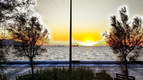 Silhouette trees by sea against sky during sunset