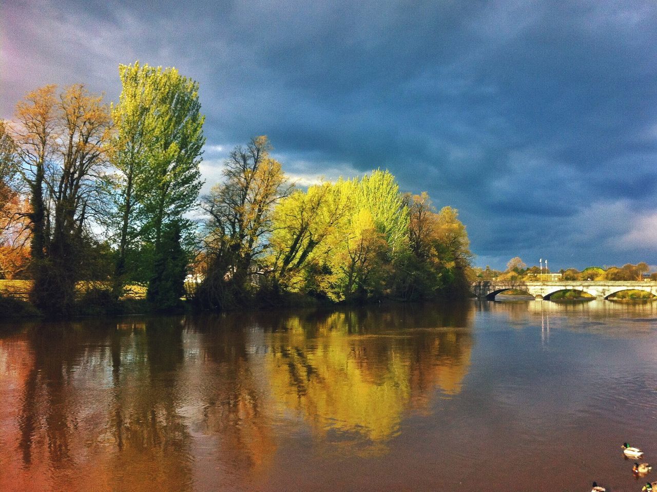 water, sky, cloud - sky, tree, reflection, waterfront, lake, tranquil scene, tranquility, cloudy, beauty in nature, scenics, nature, cloud, river, built structure, idyllic, outdoors, weather, architecture