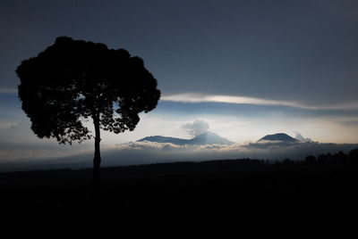 Silhouette trees on landscape against sky at dusk