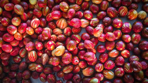 Directly above shot of nutmeg seeds at market stall