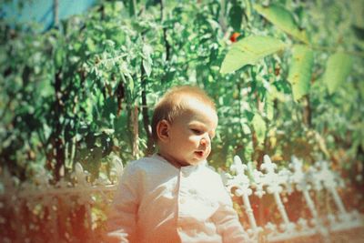 Portrait of cute boy looking at plants