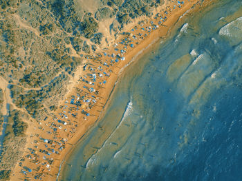 Aerial view of people sitting on a sandy beach. summer colors. 