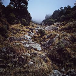 Low angle view of rock formations during foggy weather