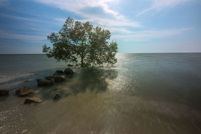 Scenic view of sea against sky