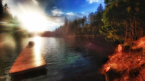 Scenic view of lake in forest against sky