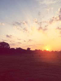 Silhouette of trees on field against sky at sunset