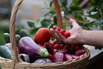 Picking up cherry tomatoes from a wicker basket full of aubergines, zucchini, carrots and shallots