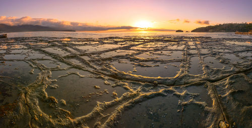 Scenic view of beach during sunset