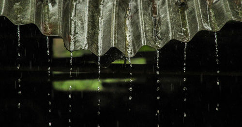 Low angle view of wet umbrella