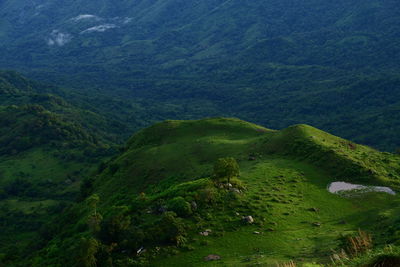 High angle view of green landscape