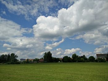 Scenic view of grassy field against sky