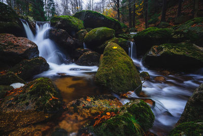 View of waterfall in forest