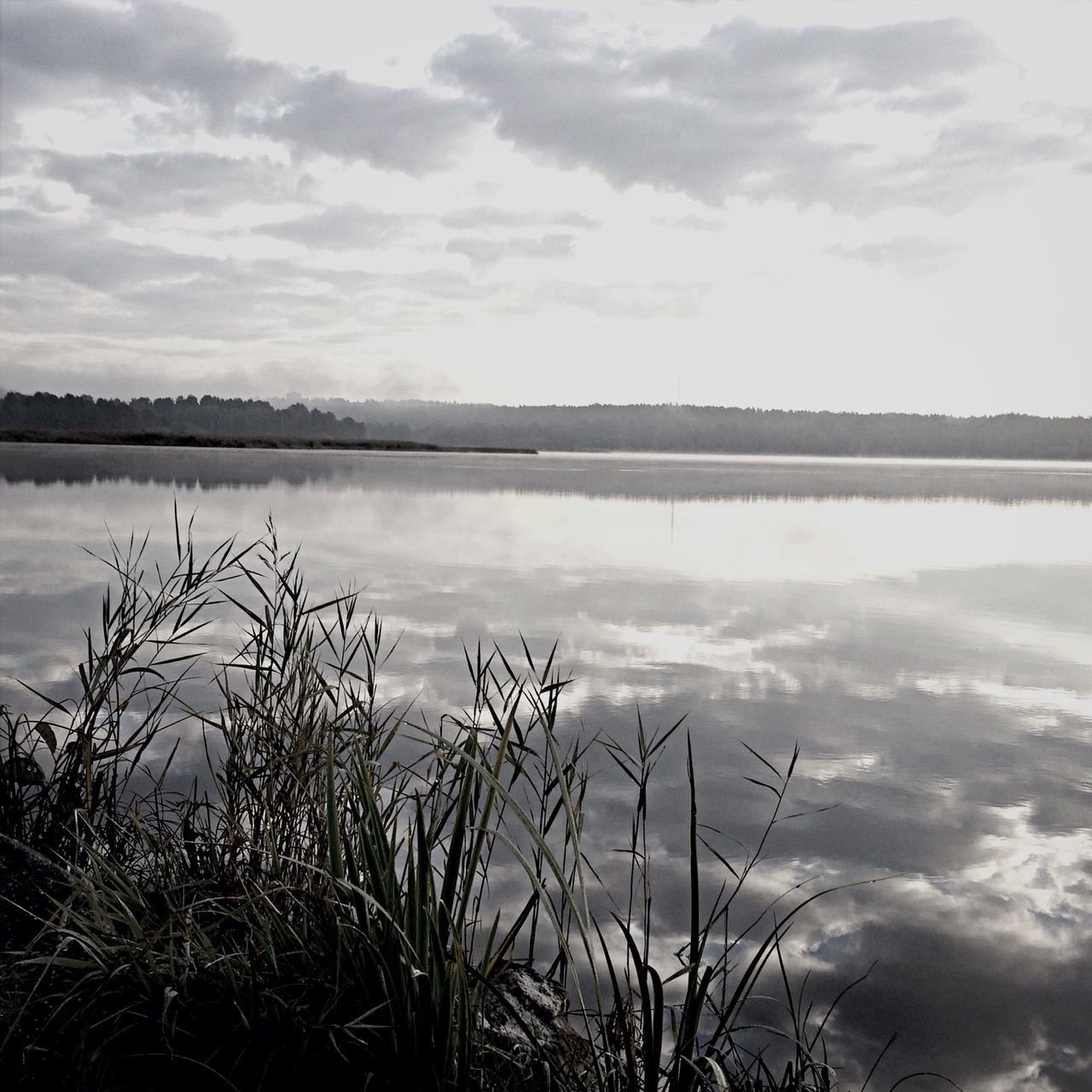 sky, water, tranquility, tranquil scene, lake, scenics, cloud - sky, beauty in nature, reflection, nature, cloud, plant, grass, cloudy, idyllic, lakeshore, growth, no people, outdoors, calm