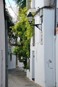 Narrow alley amidst buildings in city