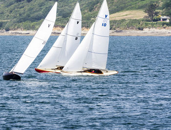 Sailboat sailing on sea against sky