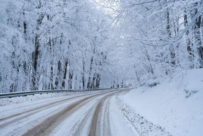 Snow covered road