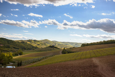 Scenic view of agricultural field against sky