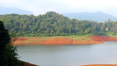 Scenic view of forest against sky