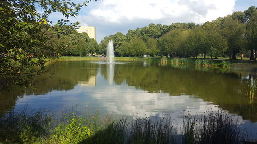 Scenic view of lake by trees against sky