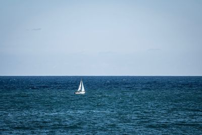 Sailboat sailing in sea against sky