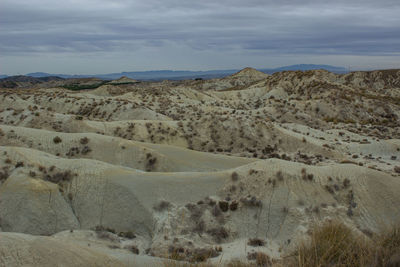 natural environment