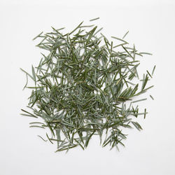 grass
