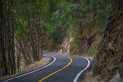 Road amidst trees in forest