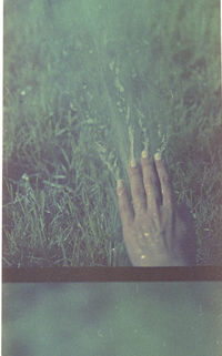 Close-up of hand on grass