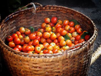 High angle view of tomatoes in basket