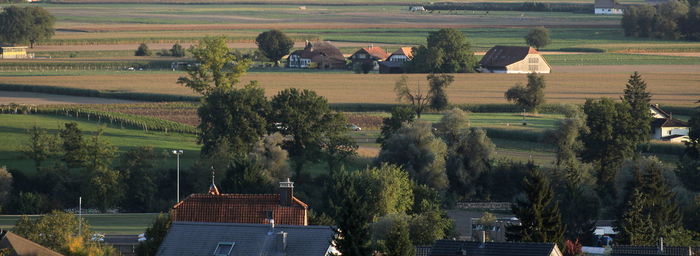 People on field against trees