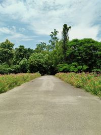 Road amidst trees against sky