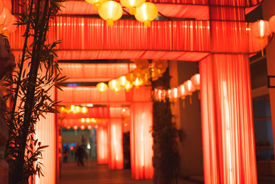 Chinese new year light festival at night.