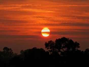 Silhouette trees against orange sky during sunset