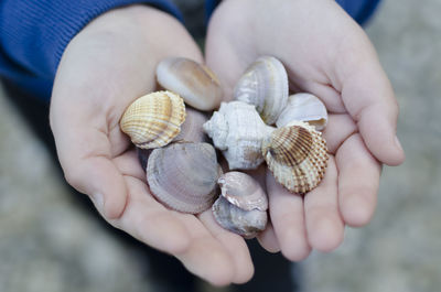 Close-up of snail on sand