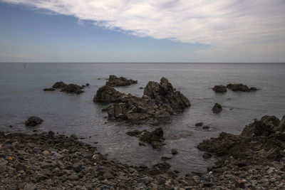 sea