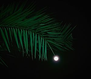 Close-up of illuminated moon against sky at night