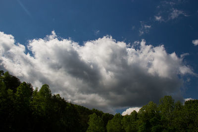 Low angle view of trees against cloudy sky